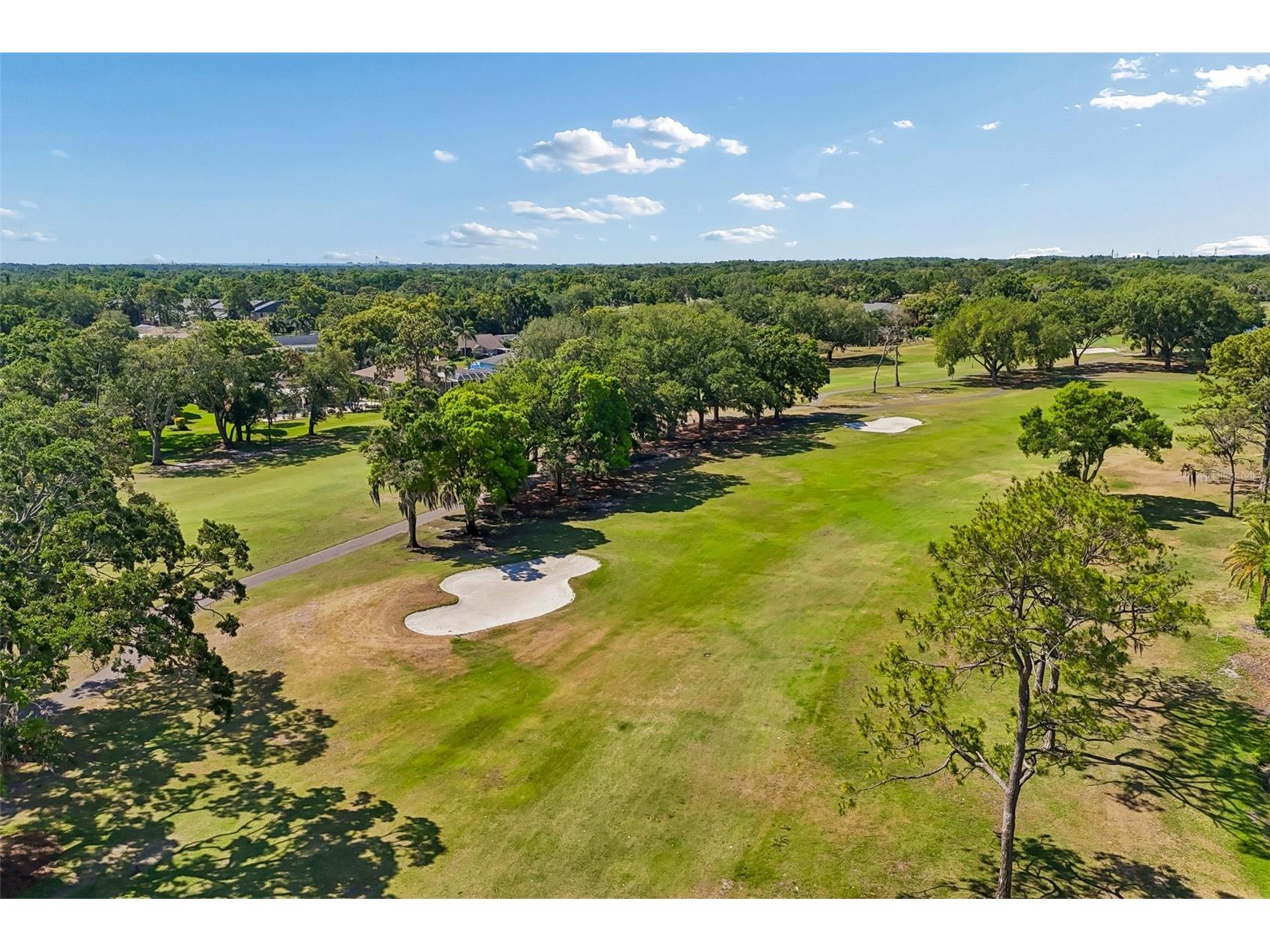 3337 Hyde Park Drive Clearwater FL 33761 TB8502388 image65