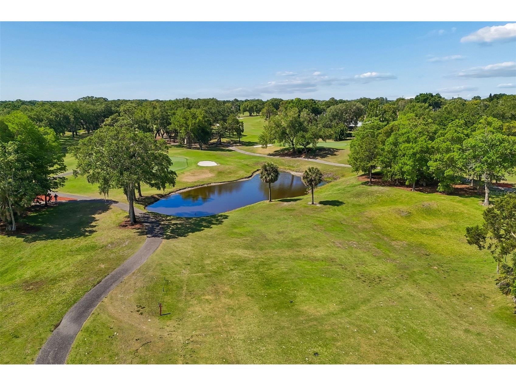 3337 Hyde Park Drive Clearwater FL 33761 TB8502388 image66