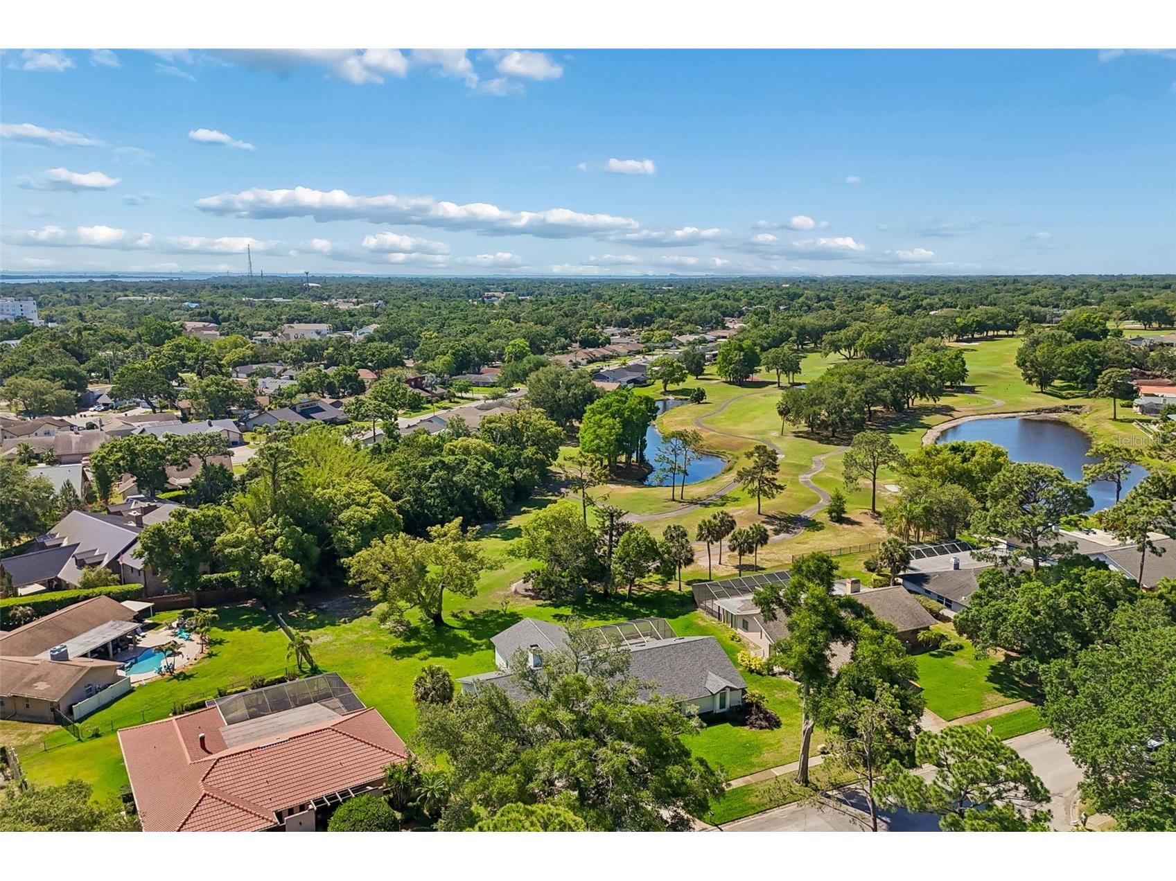 3337 Hyde Park Drive Clearwater FL 33761 TB8502388 image69