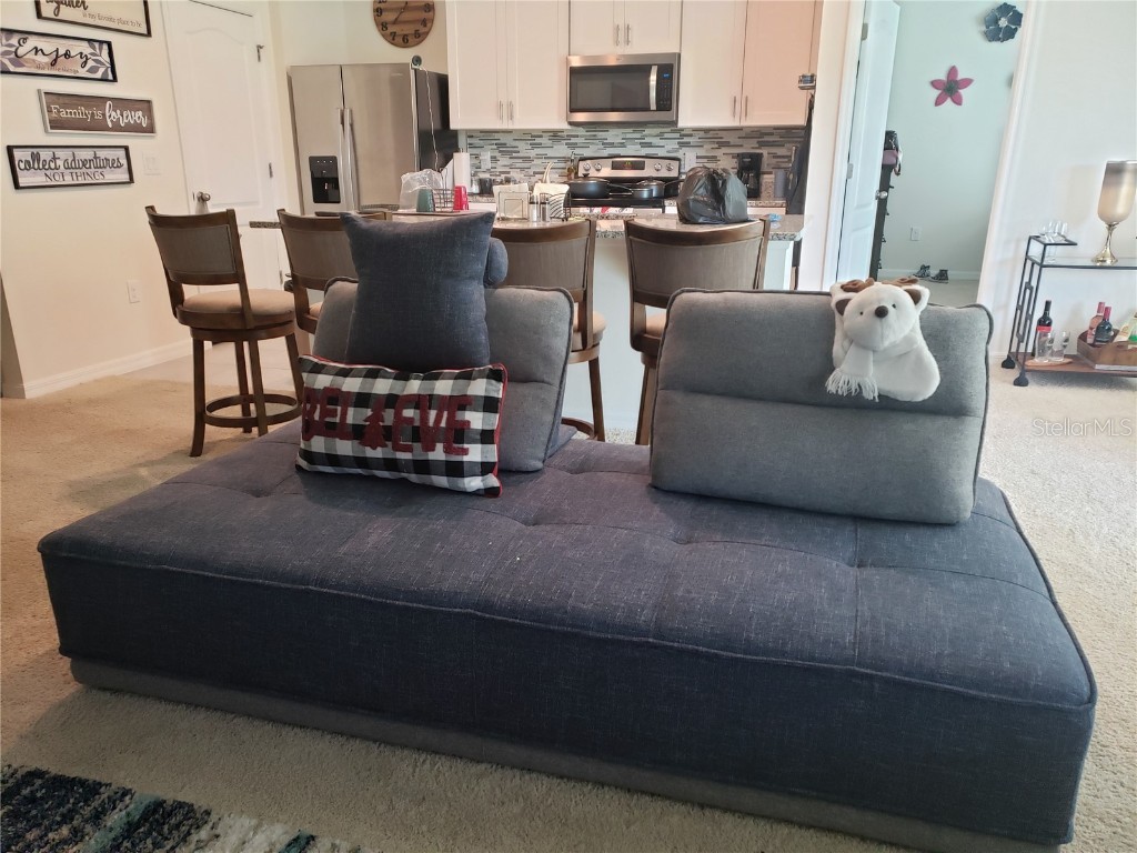 3337 Perennial Lane Kissimmee FL 34746 S5134897 image12