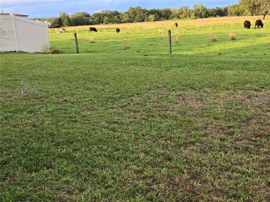 3337 Perennial Lane Kissimmee FL 34746 S5134897 image16