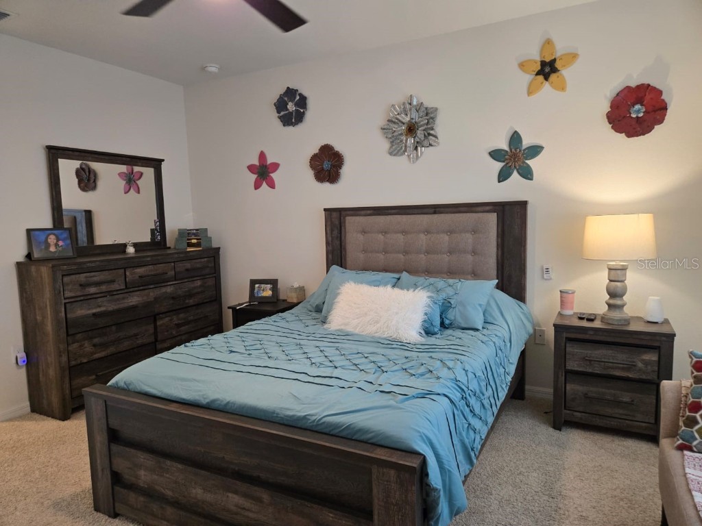 3337 Perennial Lane Kissimmee FL 34746 S5134897 image23