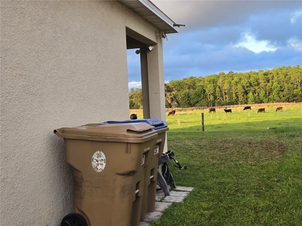 3337 Perennial Lane Kissimmee FL 34746 S5134897 image6