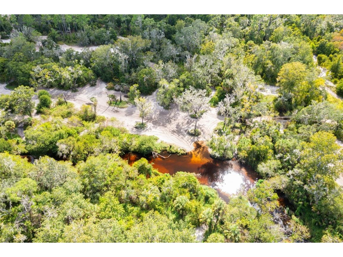 3337 River Estates Dr Wimauma FL 33598 - LITTLE MANATEE RIVER T3475957 image1