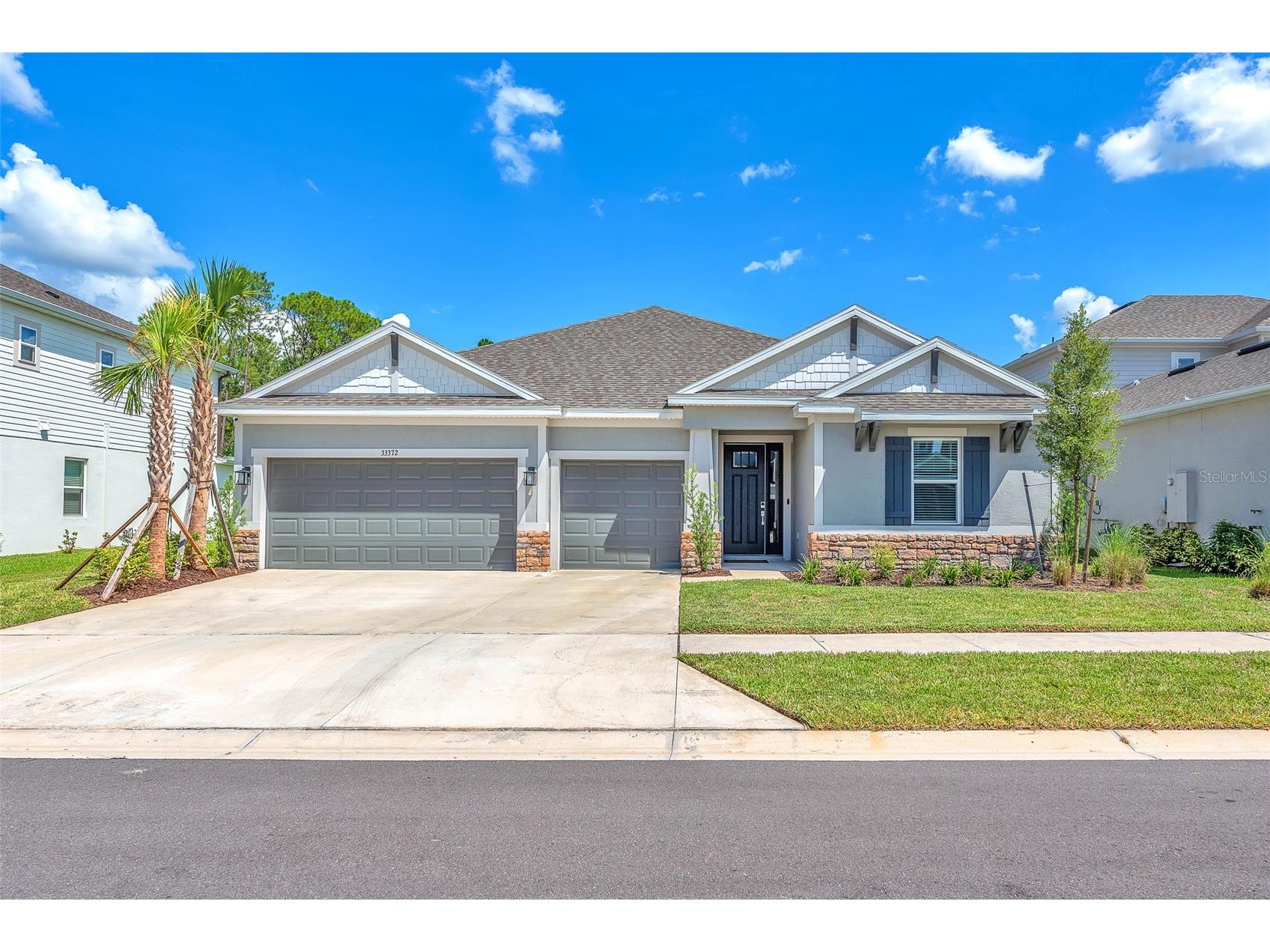 33372 Landsman Loop Wesley Chapel FL 33543 TB8514424 image1