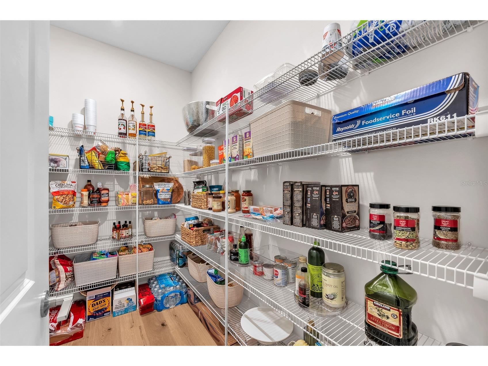 33372 Landsman Loop Wesley Chapel FL 33543 TB8514424 image29