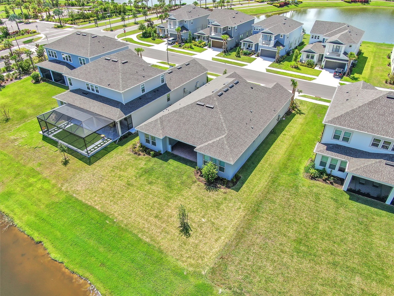 33372 Landsman Loop Wesley Chapel FL 33543 TB8514424 image34