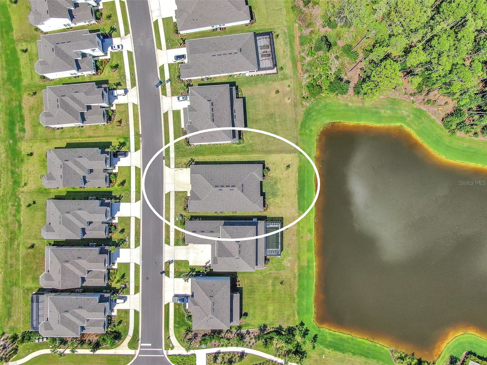 33372 Landsman Loop Wesley Chapel FL 33543 TB8514424 image36