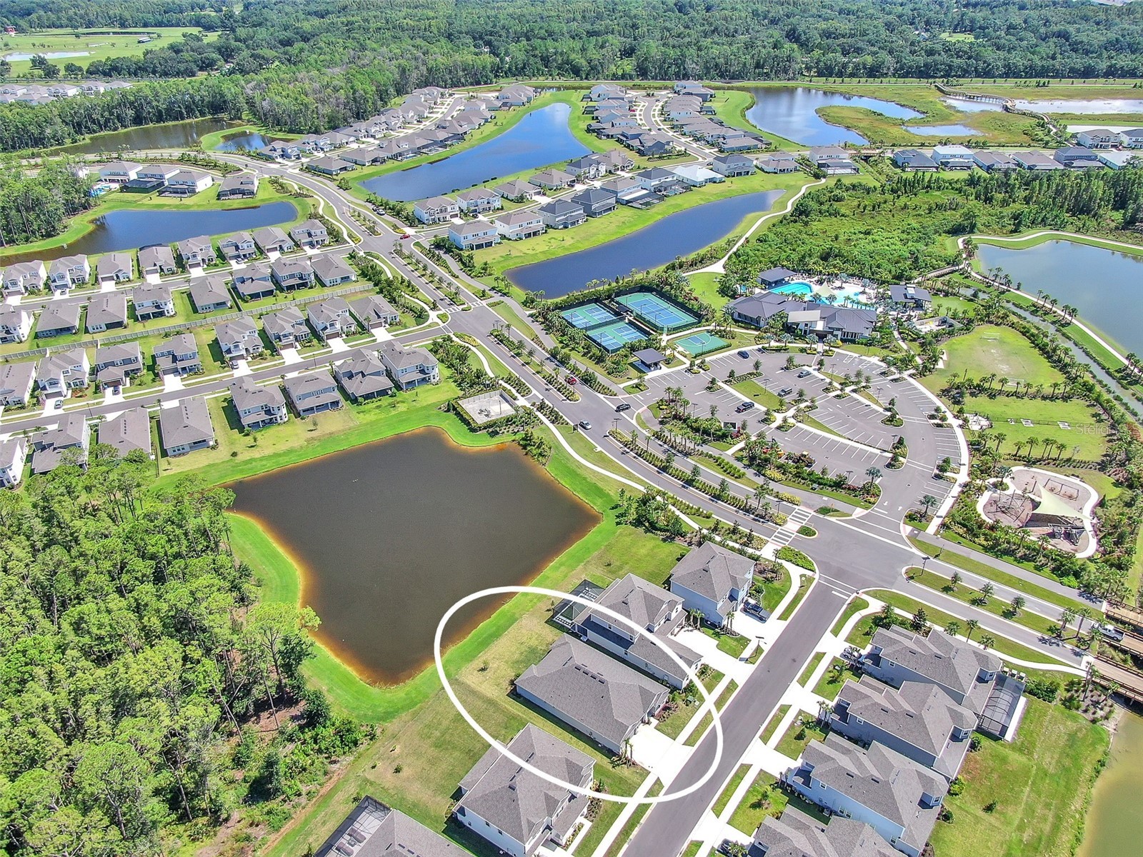 33372 Landsman Loop Wesley Chapel FL 33543 TB8514424 image37