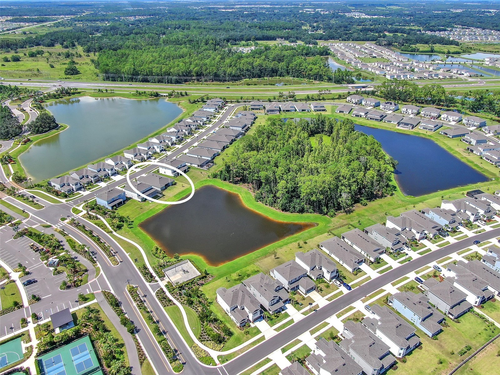 33372 Landsman Loop Wesley Chapel FL 33543 TB8514424 image39