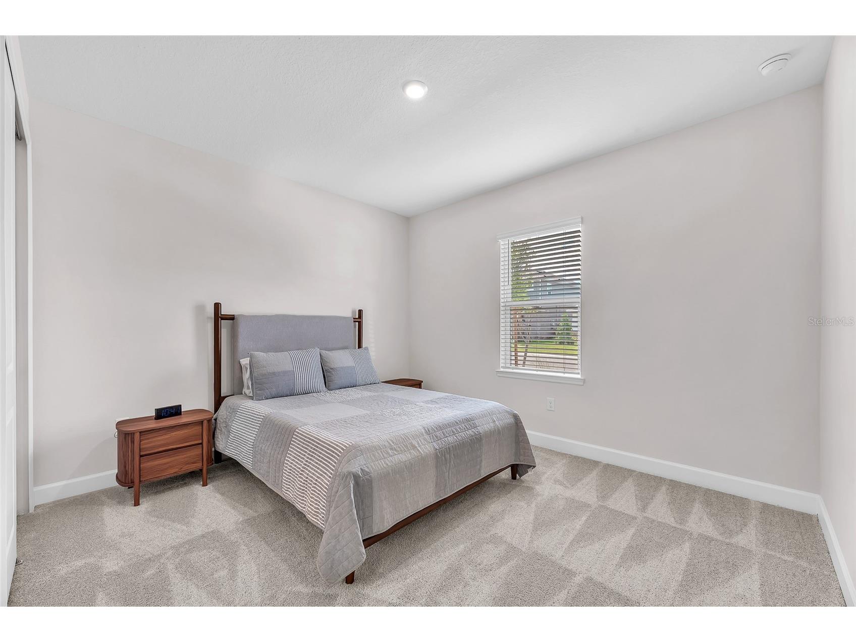 33372 Landsman Loop Wesley Chapel FL 33543 TB8514424 image6
