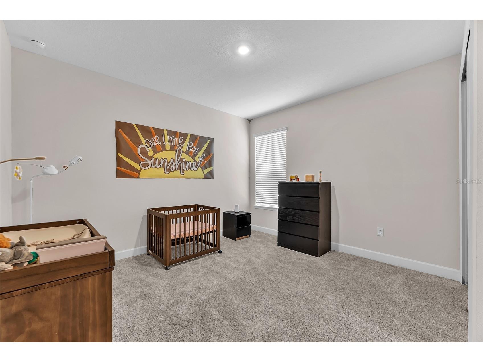 33372 Landsman Loop Wesley Chapel FL 33543 TB8514424 image9