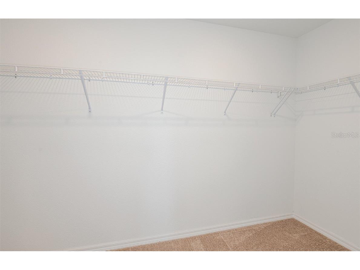 33375 Binding Ties Lane Wesley Chapel FL 33545 TB8448867 image11