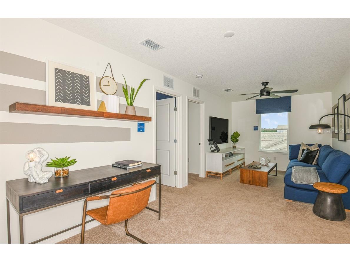 33375 Binding Ties Lane Wesley Chapel FL 33545 TB8448867 image12