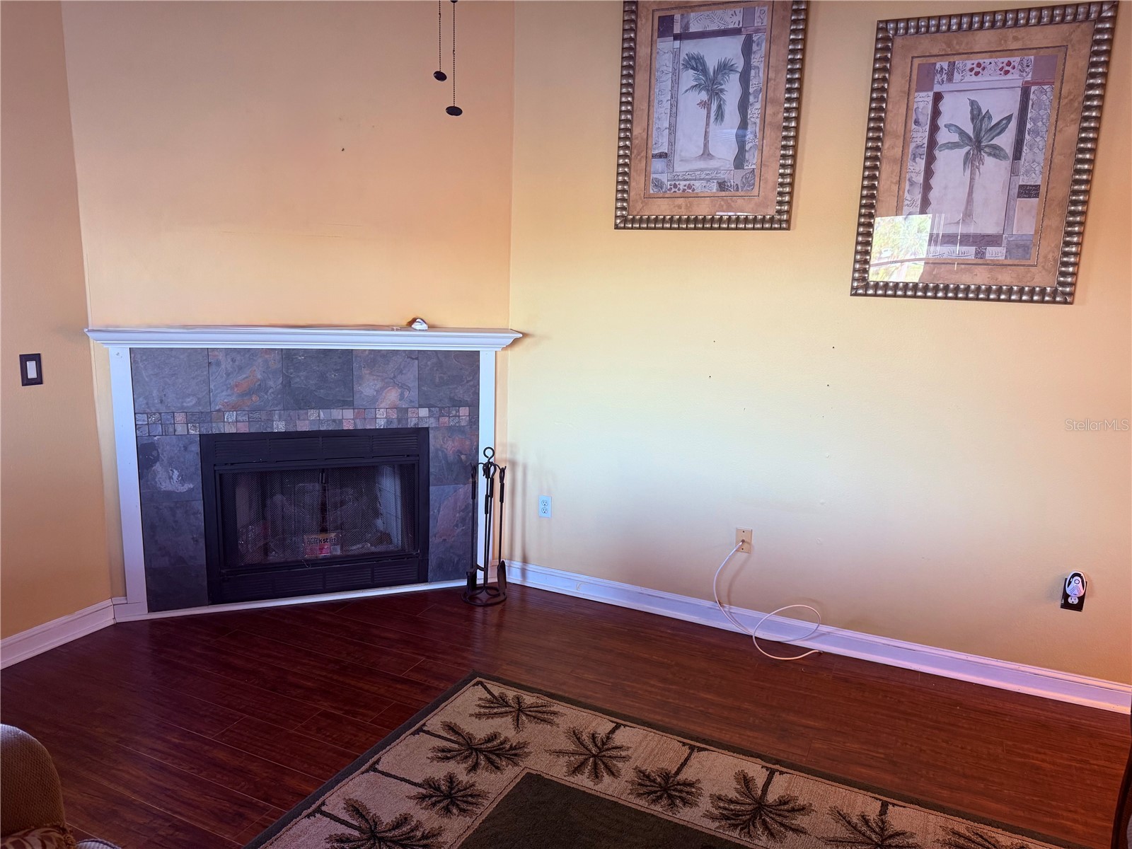 3338 Fernleaf Drive Hernando Beach FL 34607 TB8484522 image10