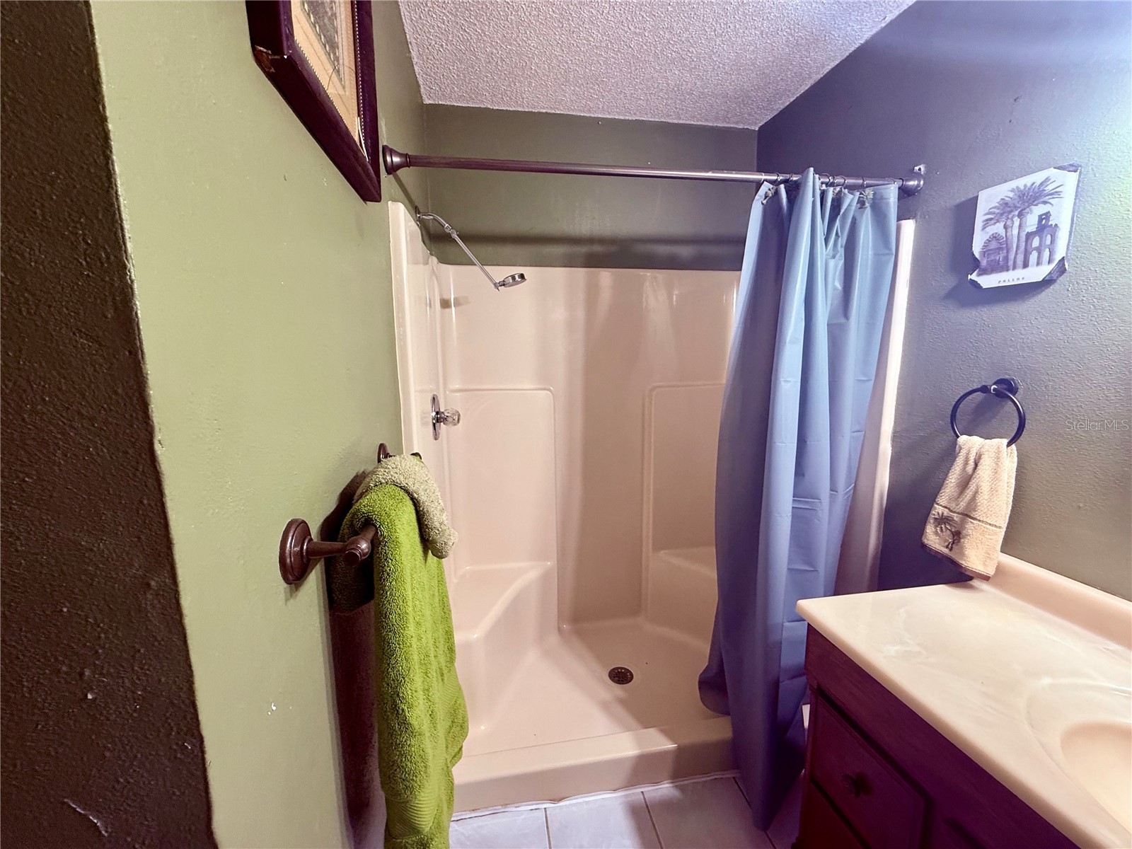 3338 Fernleaf Drive Hernando Beach FL 34607 TB8484522 image30