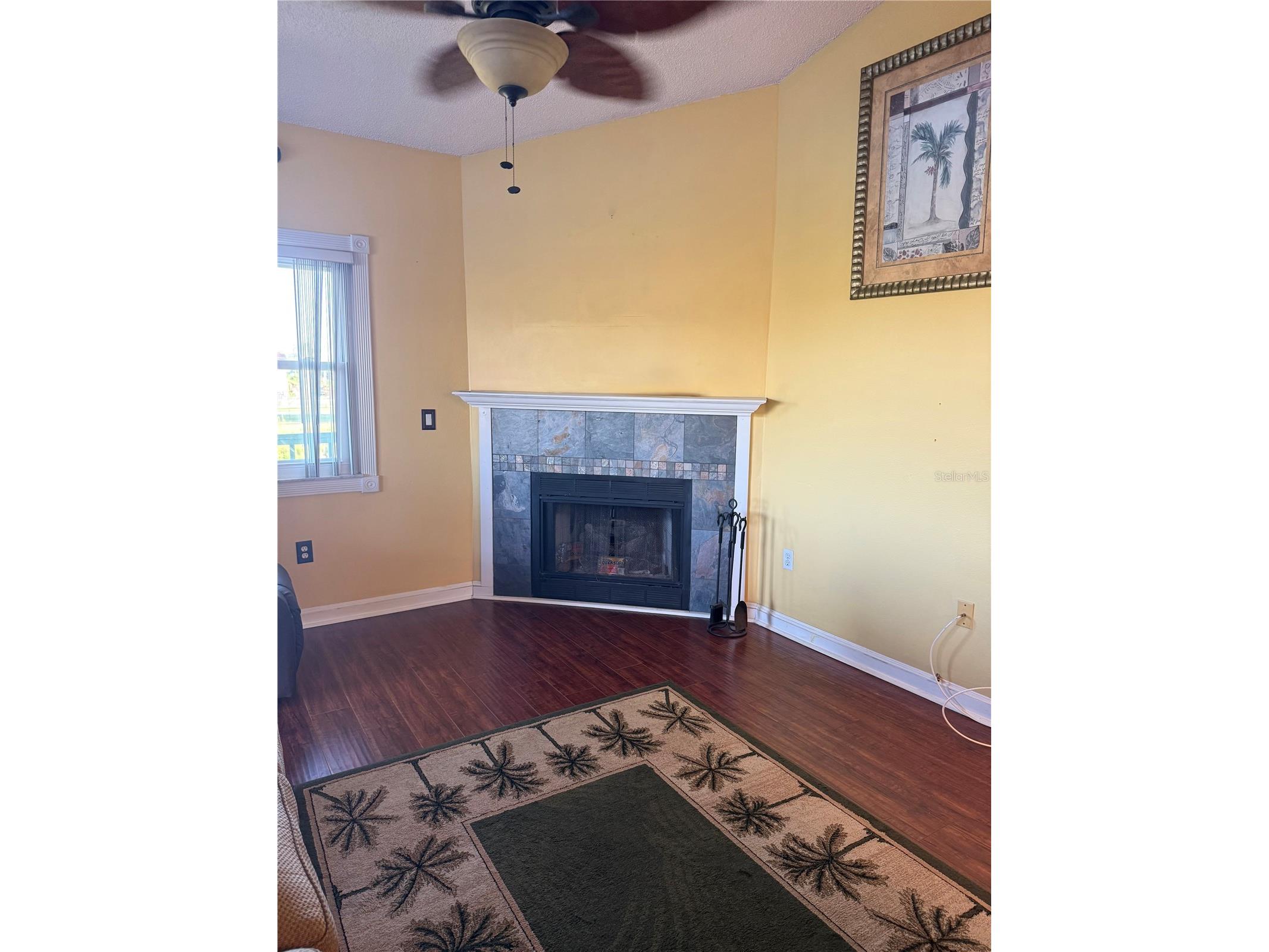 3338 Fernleaf Drive Hernando Beach FL 34607 TB8484522 image9