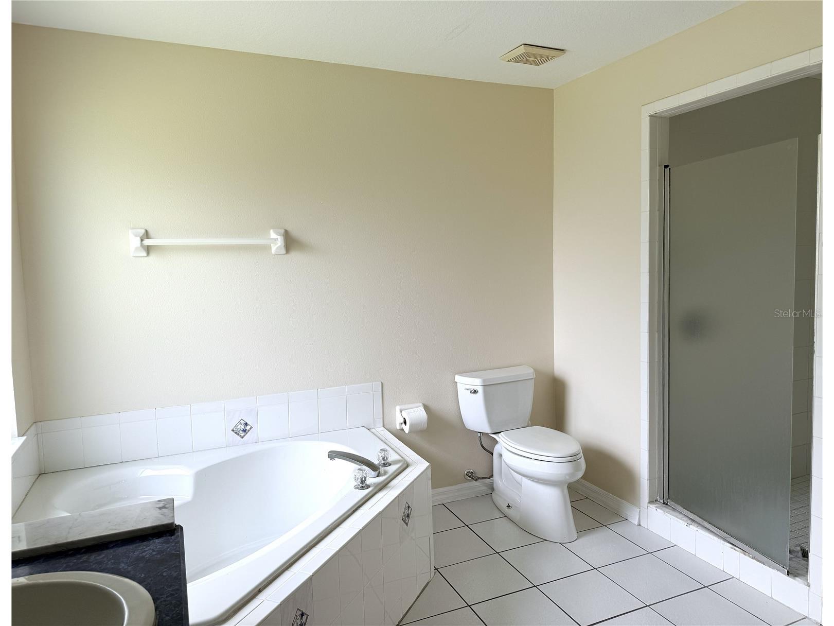 3338 Gator Bay Creek Boulevard Saint Cloud FL 34772 S5151572 image14