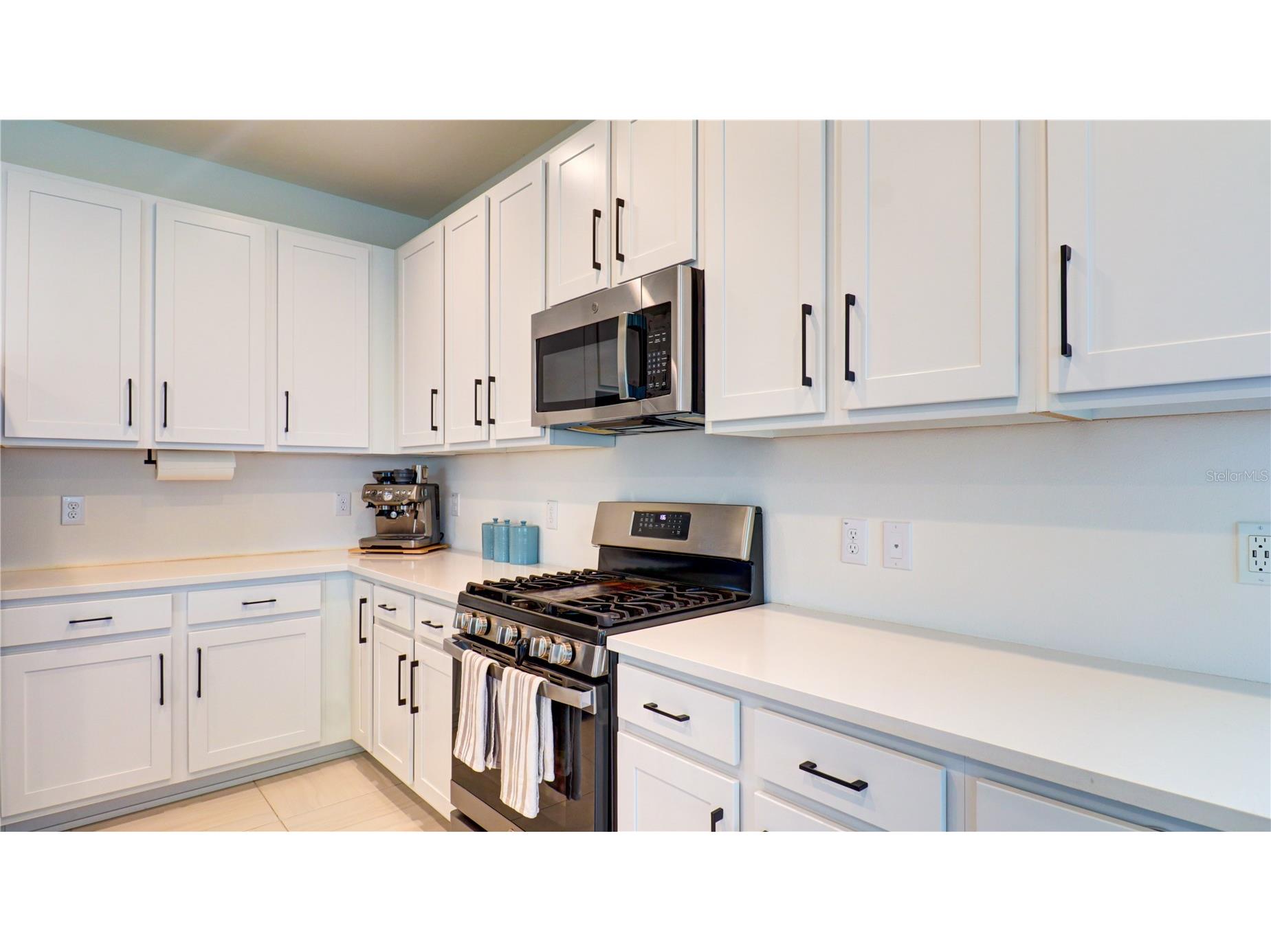 3338 Great Banyan Way Wesley Chapel FL 33543 TB8513492 image19