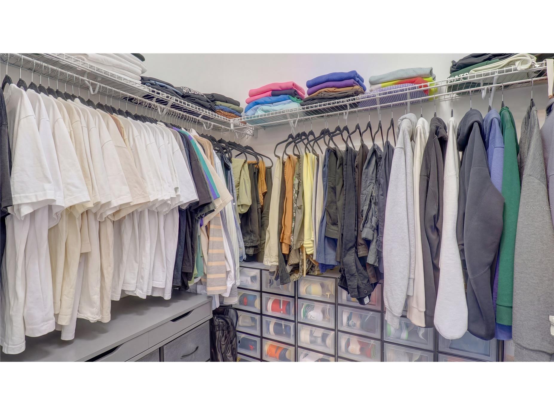 3338 Great Banyan Way Wesley Chapel FL 33543 TB8513492 image34