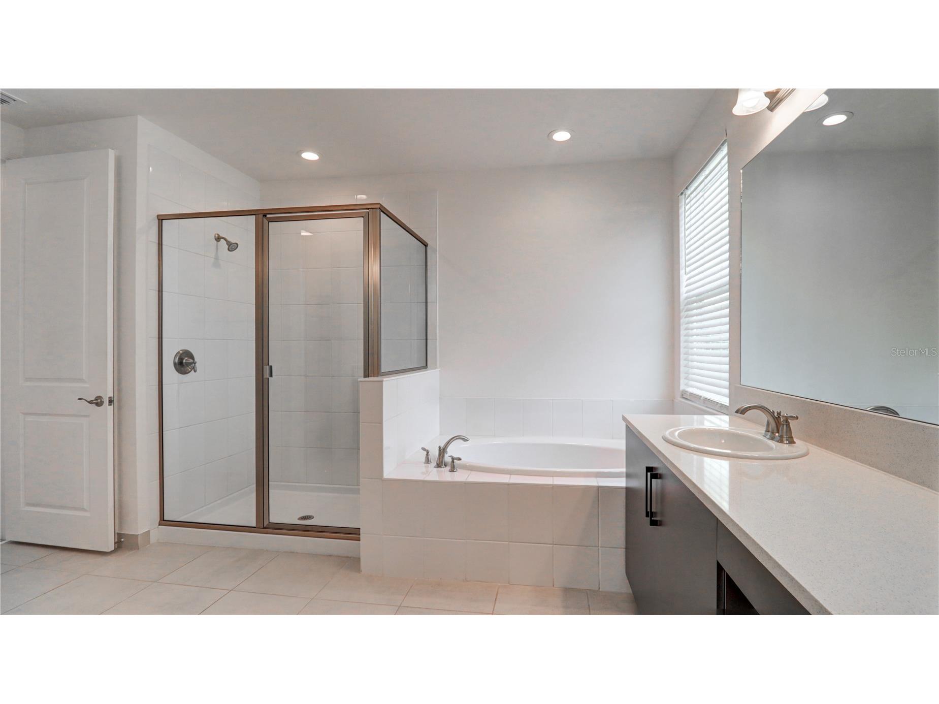 3338 Great Banyan Way Wesley Chapel FL 33543 TB8513492 image37