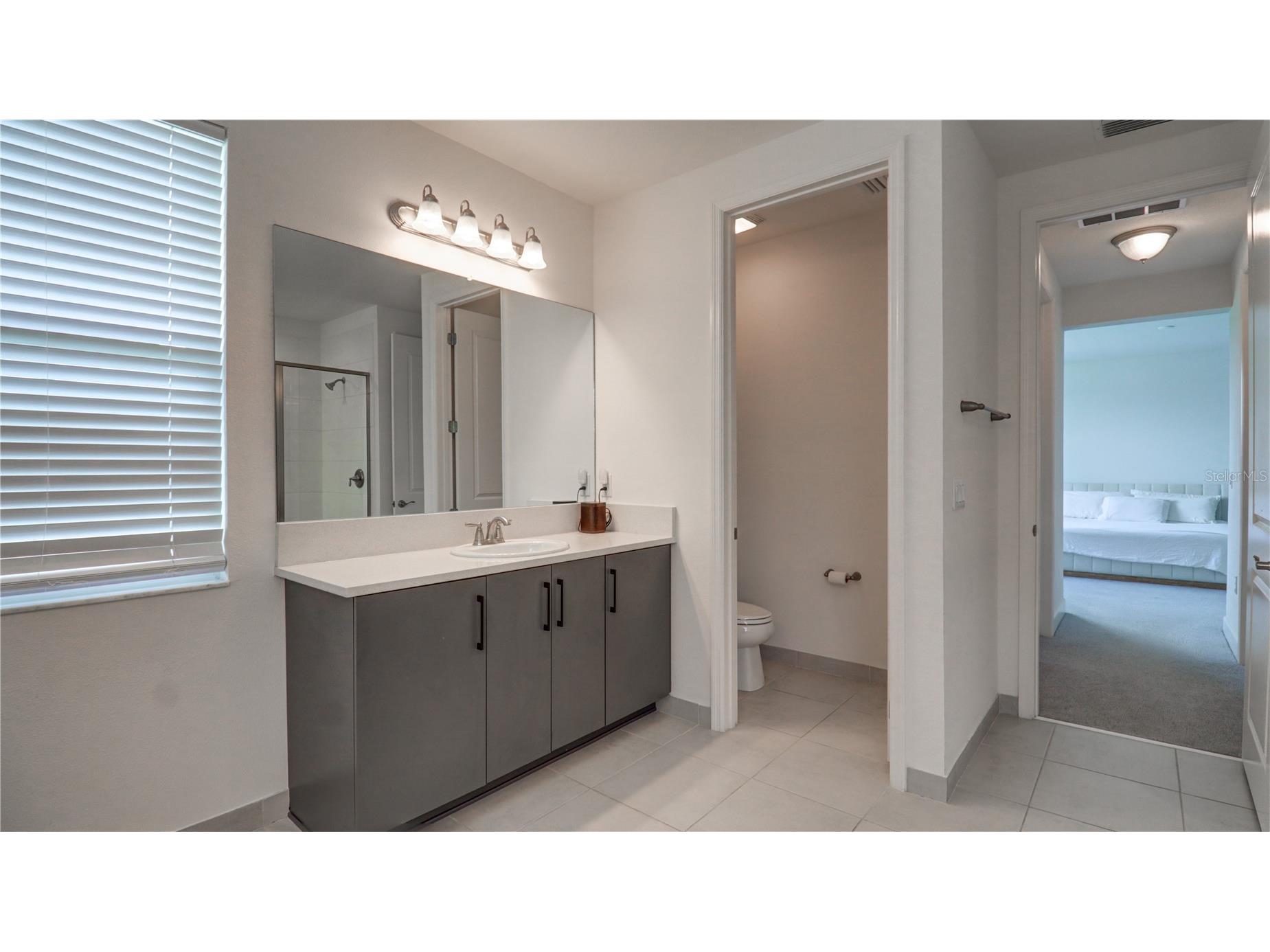 3338 Great Banyan Way Wesley Chapel FL 33543 TB8513492 image40