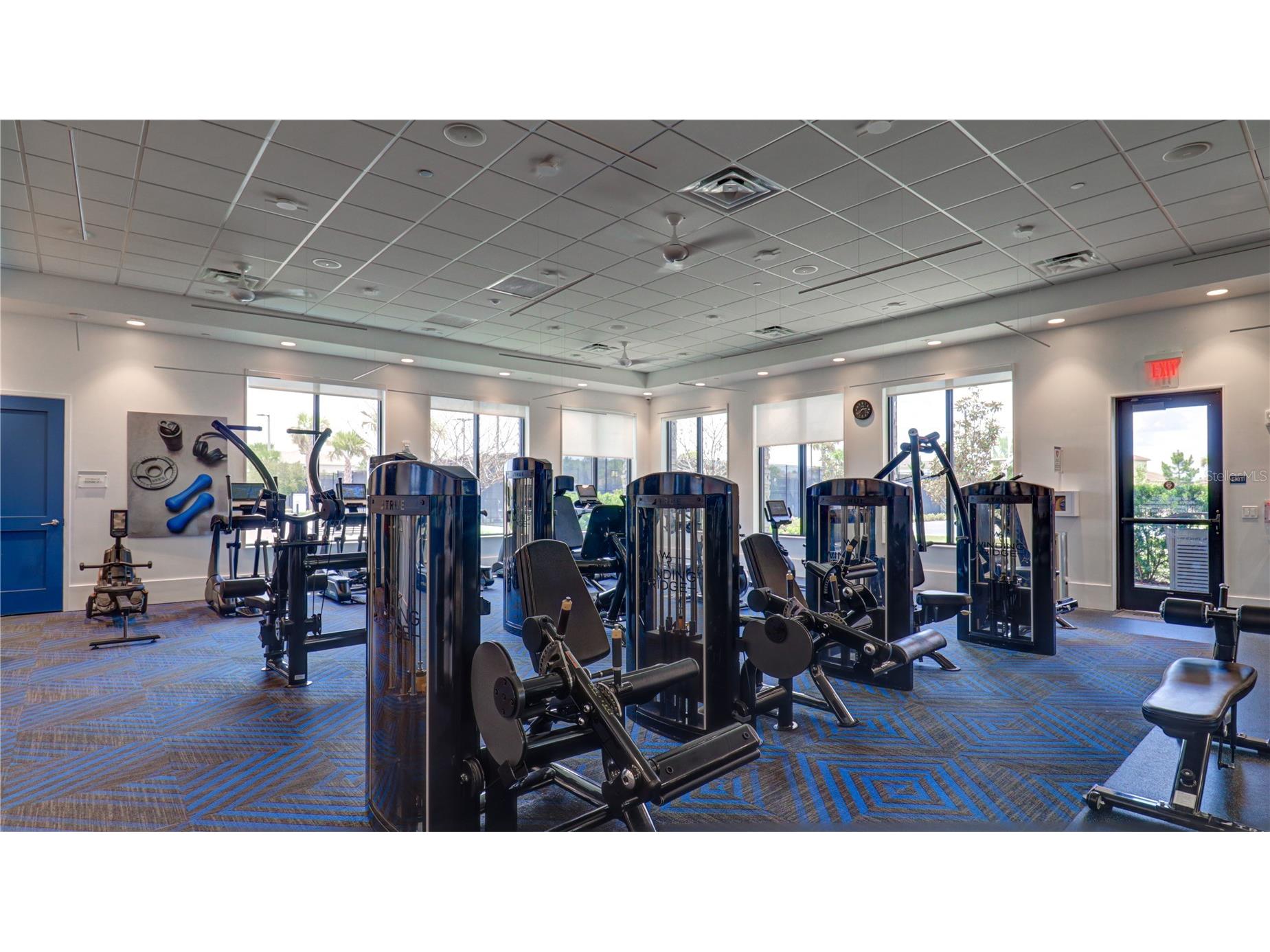 3338 Great Banyan Way Wesley Chapel FL 33543 TB8513492 image44