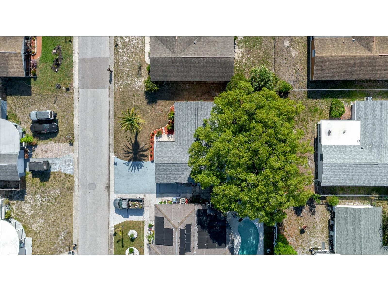 3338 Hoover Drive Holiday FL 34691 TB8493526 image55