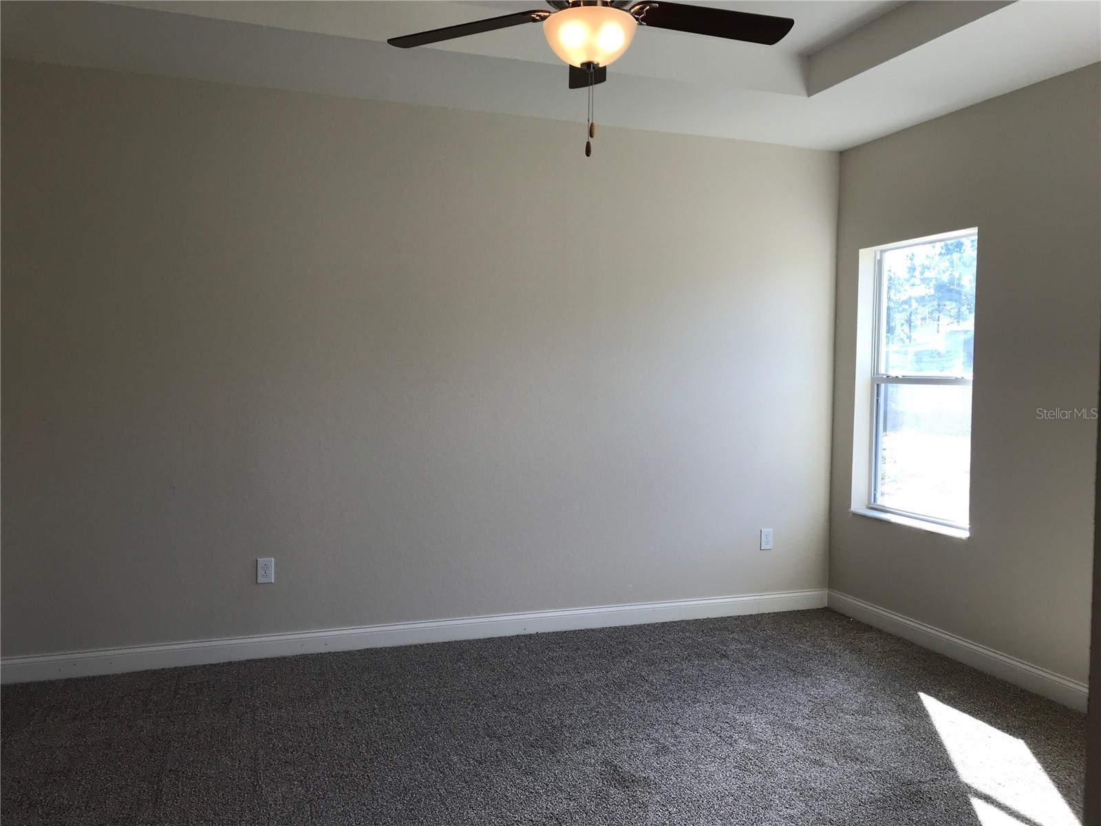 3338 Pearly Drive Lakeland FL 33812 L4960774 image19