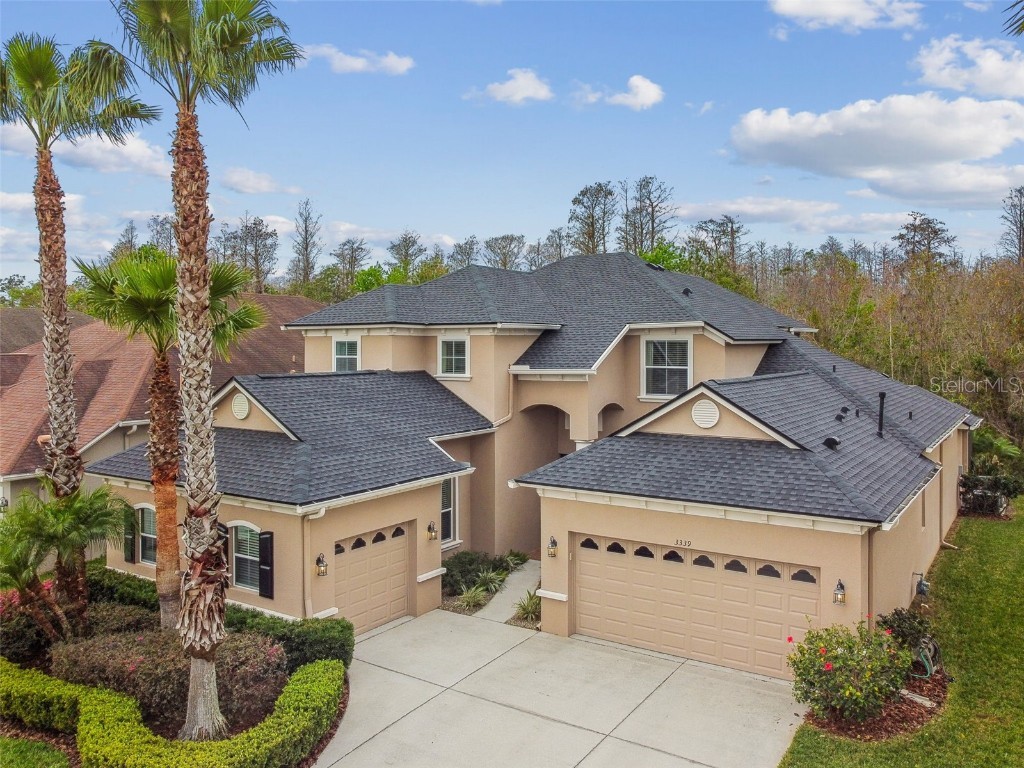 3339 Diamond Falls Circle Land O Lakes FL 34638 TB8352393 image1