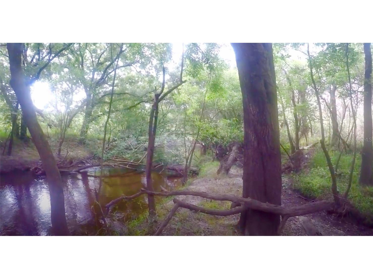 3339 River Estates Drive Wimauma FL 33598 - LITTLE MANATEE RIVER T3349187 image1