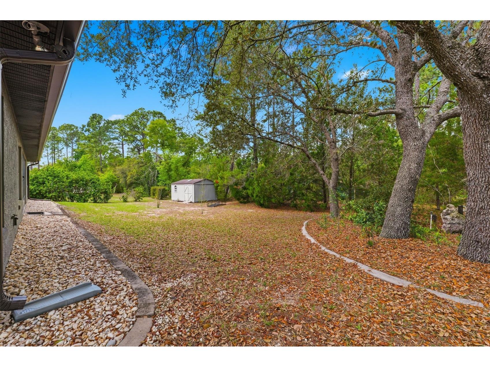 3339 W Eldridge Drive Citrus Springs FL 34433 W7884812 image24
