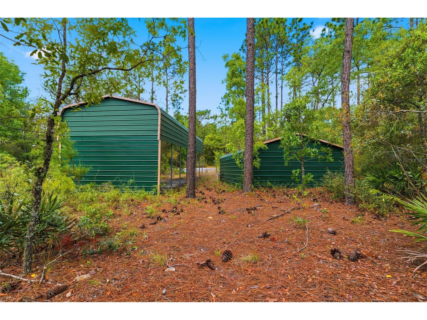 3339 W Eldridge Drive Citrus Springs FL 34433 W7884812 image27