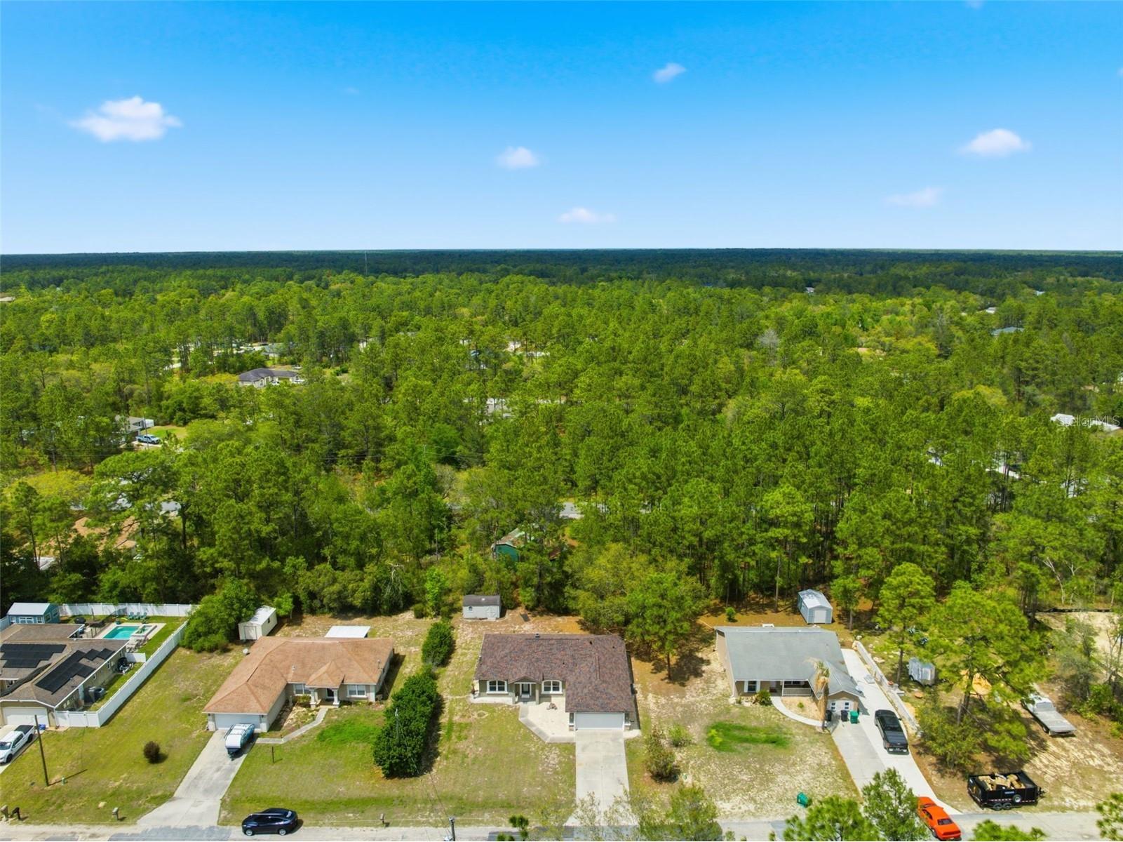3339 W Eldridge Drive Citrus Springs FL 34433 W7884812 image33