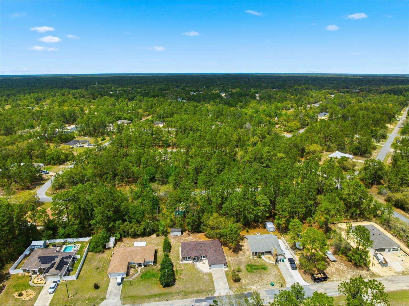 3339 W Eldridge Drive Citrus Springs FL 34433 W7884812 image34