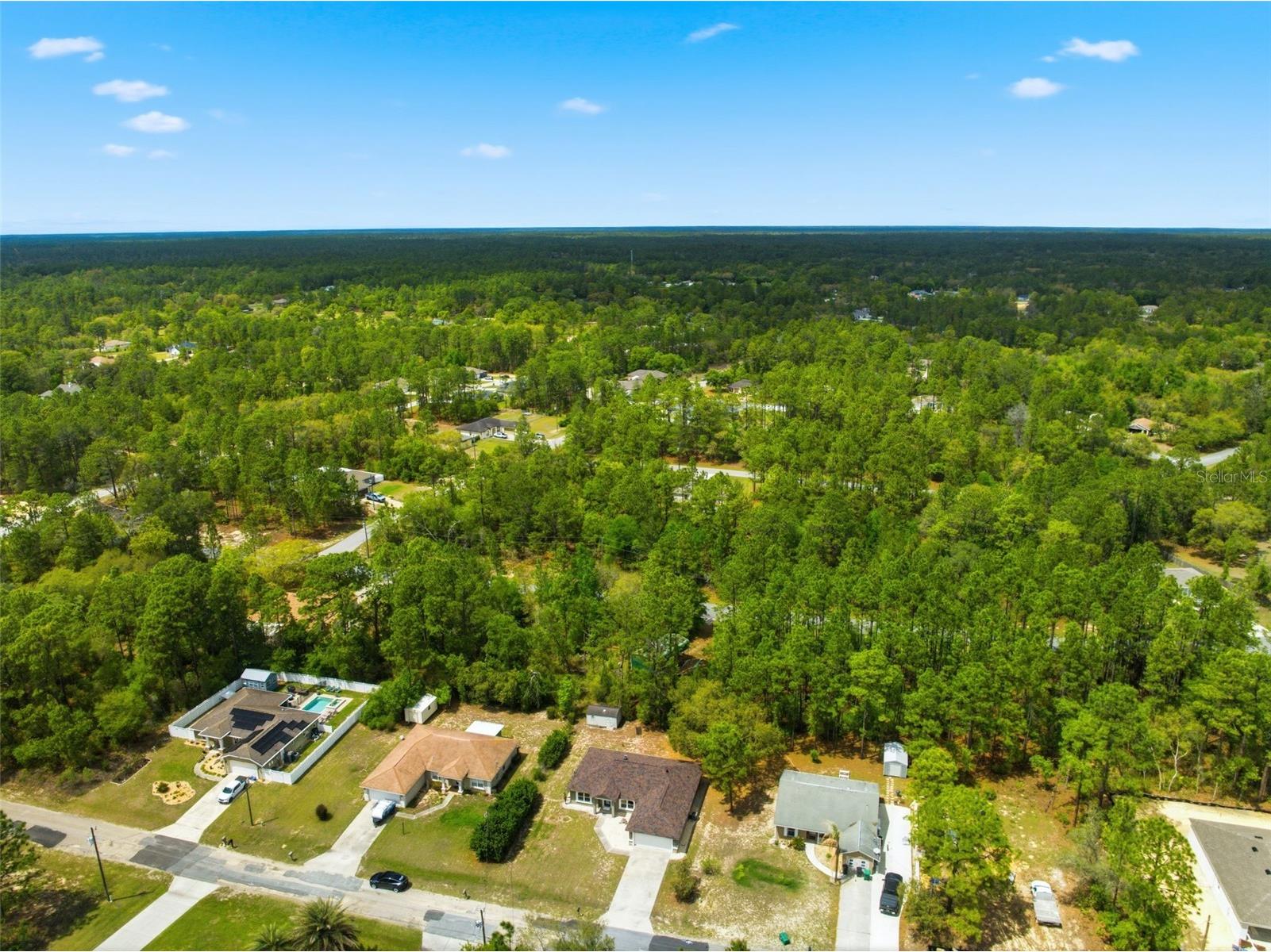 3339 W Eldridge Drive Citrus Springs FL 34433 W7884812 image35