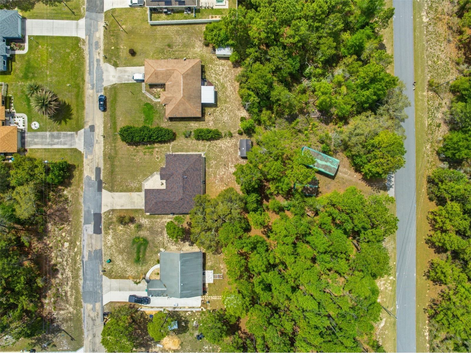 3339 W Eldridge Drive Citrus Springs FL 34433 W7884812 image36