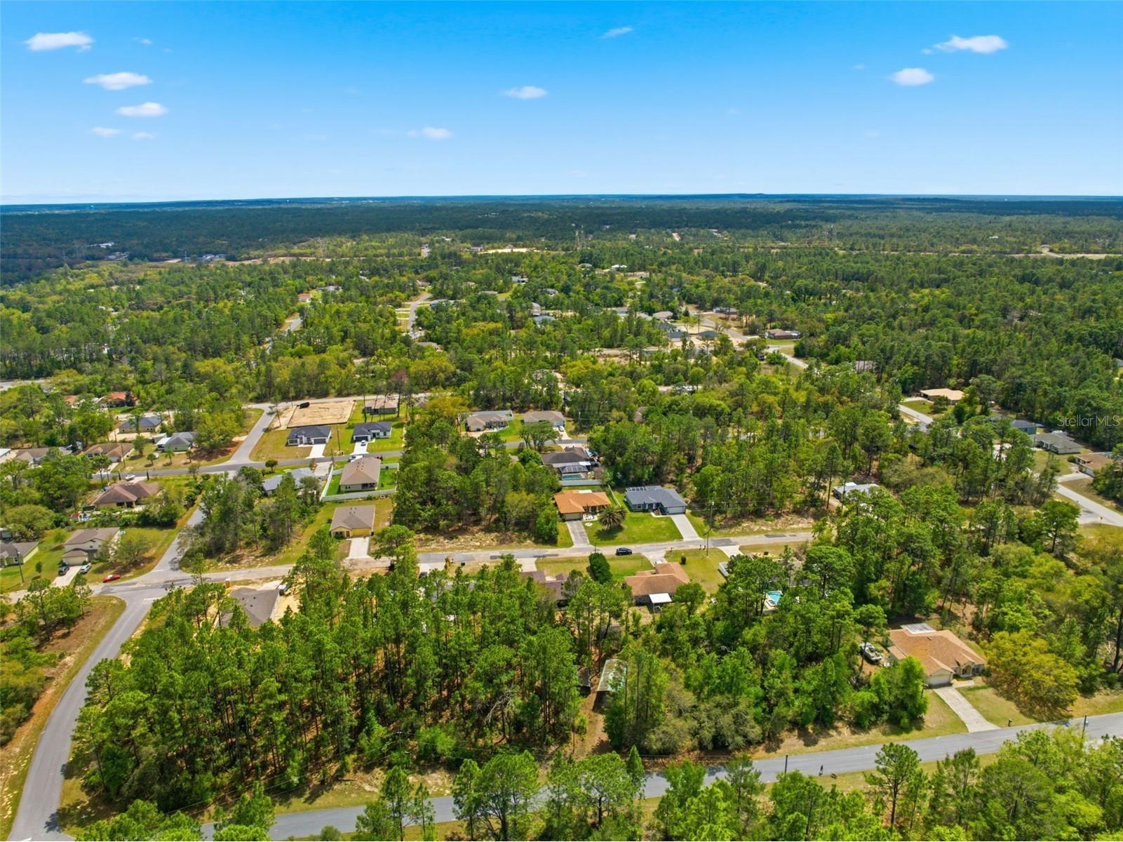 3339 W Eldridge Drive Citrus Springs FL 34433 W7884812 image37
