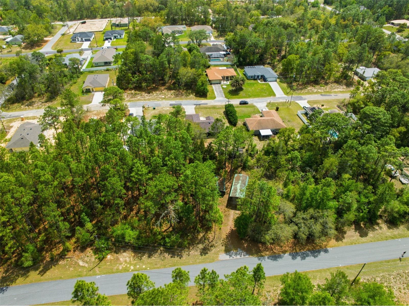 3339 W Eldridge Drive Citrus Springs FL 34433 W7884812 image38