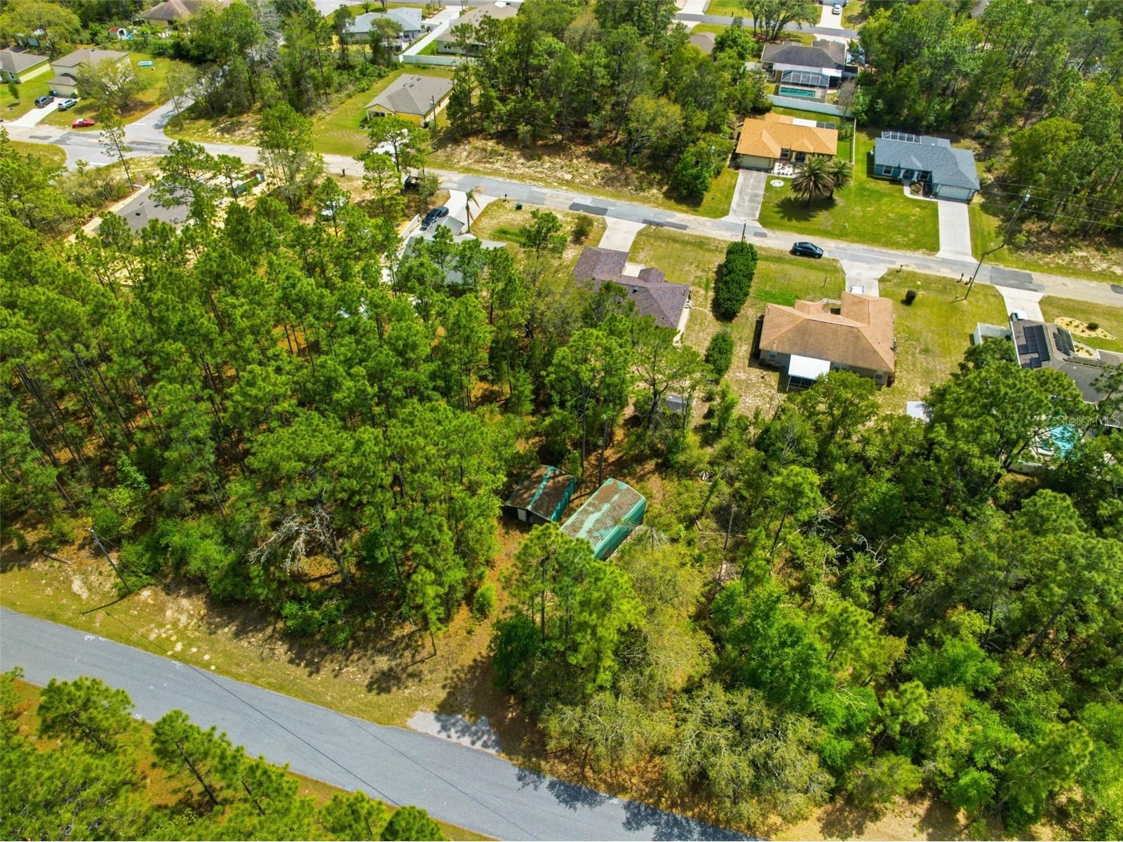 3339 W Eldridge Drive Citrus Springs FL 34433 W7884812 image39