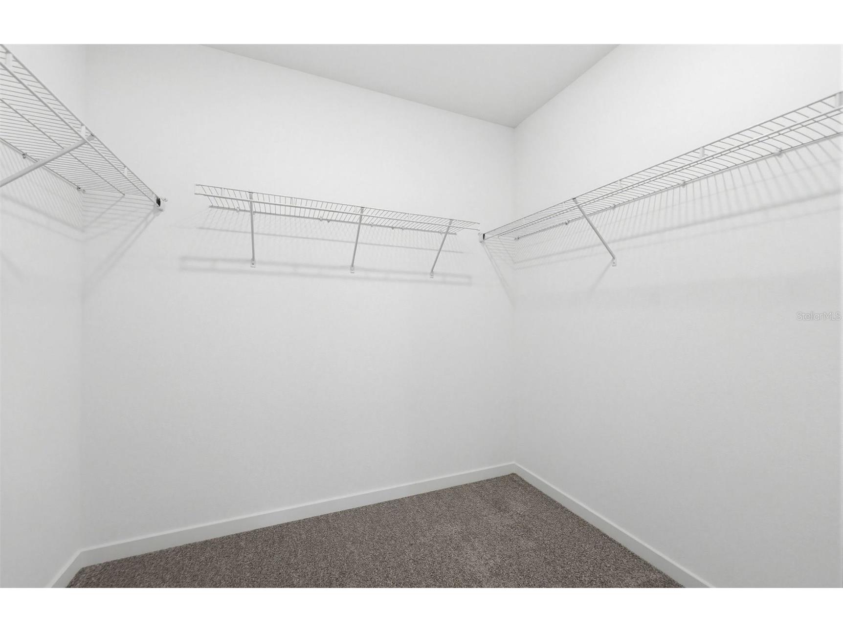 33391 Binding Ties Lane Wesley Chapel FL 33545 TB8477494 image10