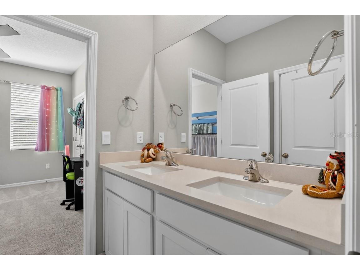 33391 Colburn Creek Way Wesley Chapel FL 33545 TB8455953 image23