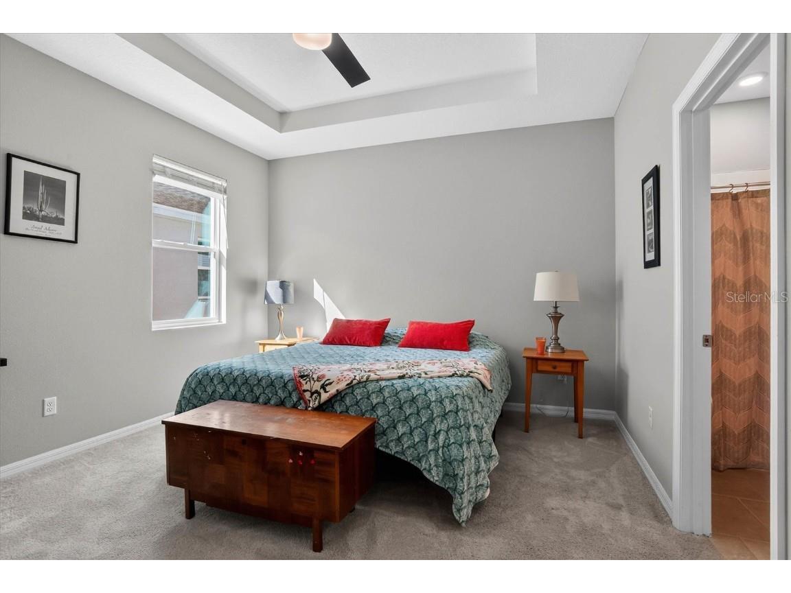 33391 Colburn Creek Way Wesley Chapel FL 33545 TB8455953 image29