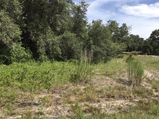 334 Amberjack Court Poinciana FL 34759 O6040896 image1