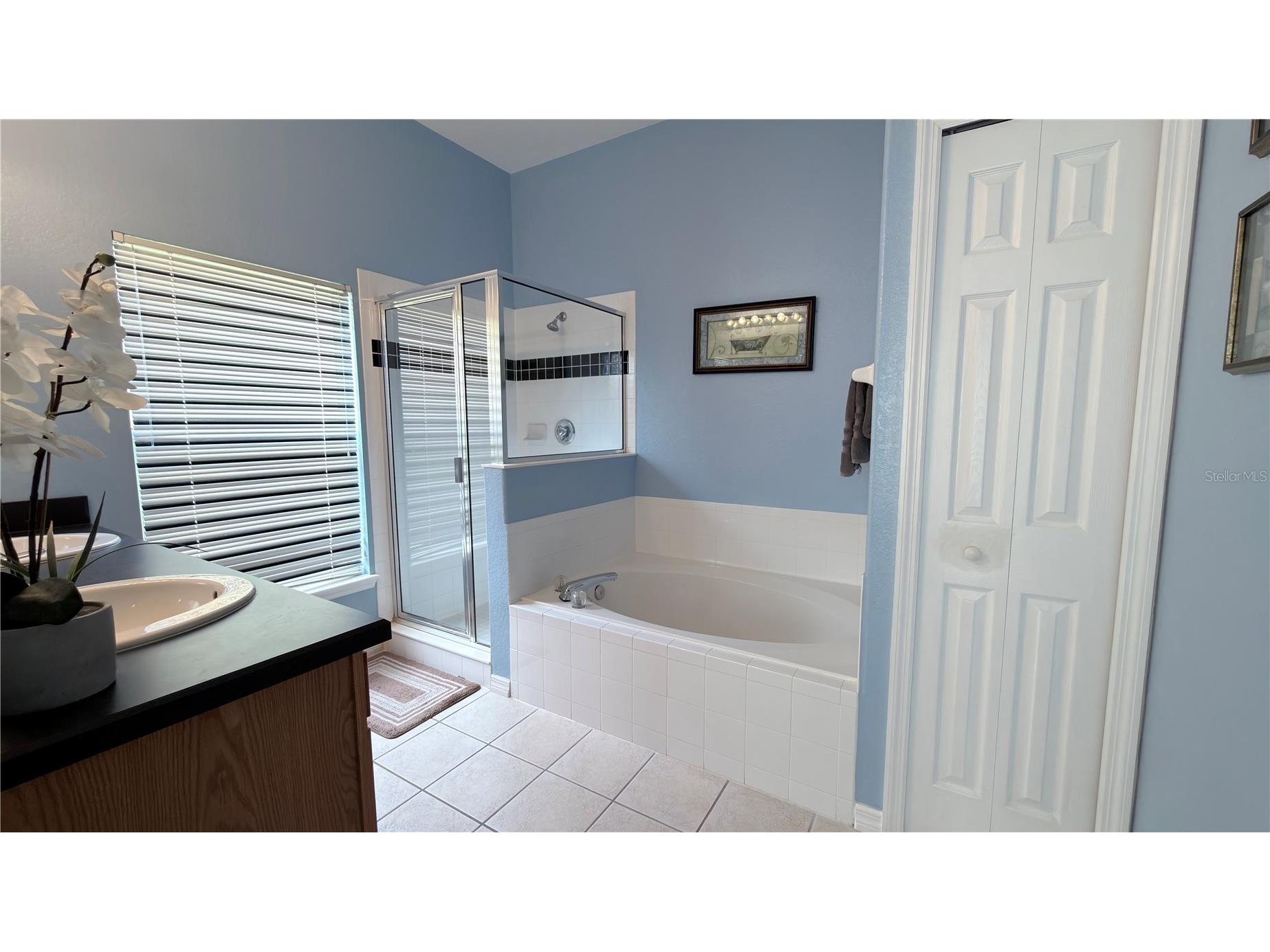 334 Cadiz Loop Davenport FL 33837 O6408485 image14