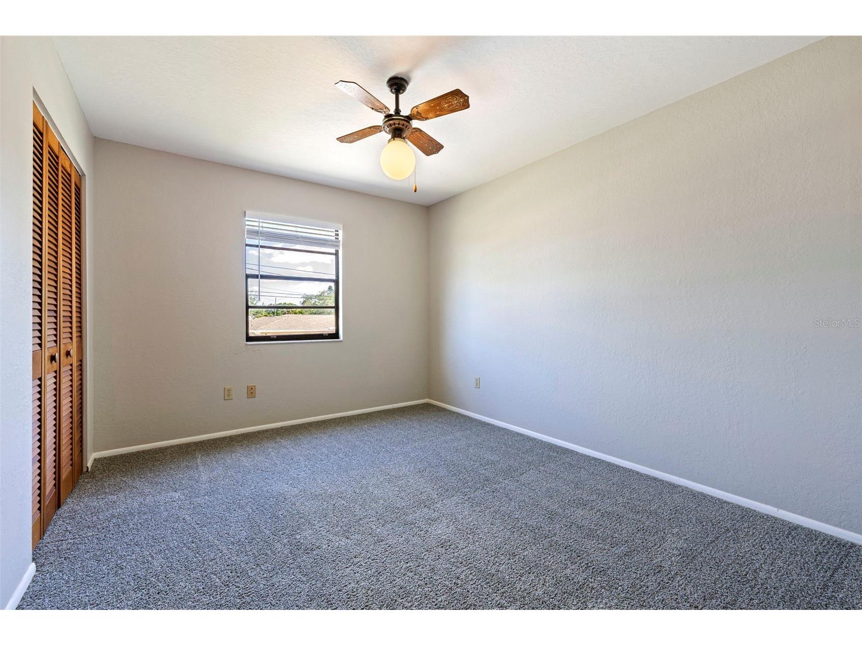 334 Crosswinds Drive Palm Harbor FL 34683 TB8497379 image22