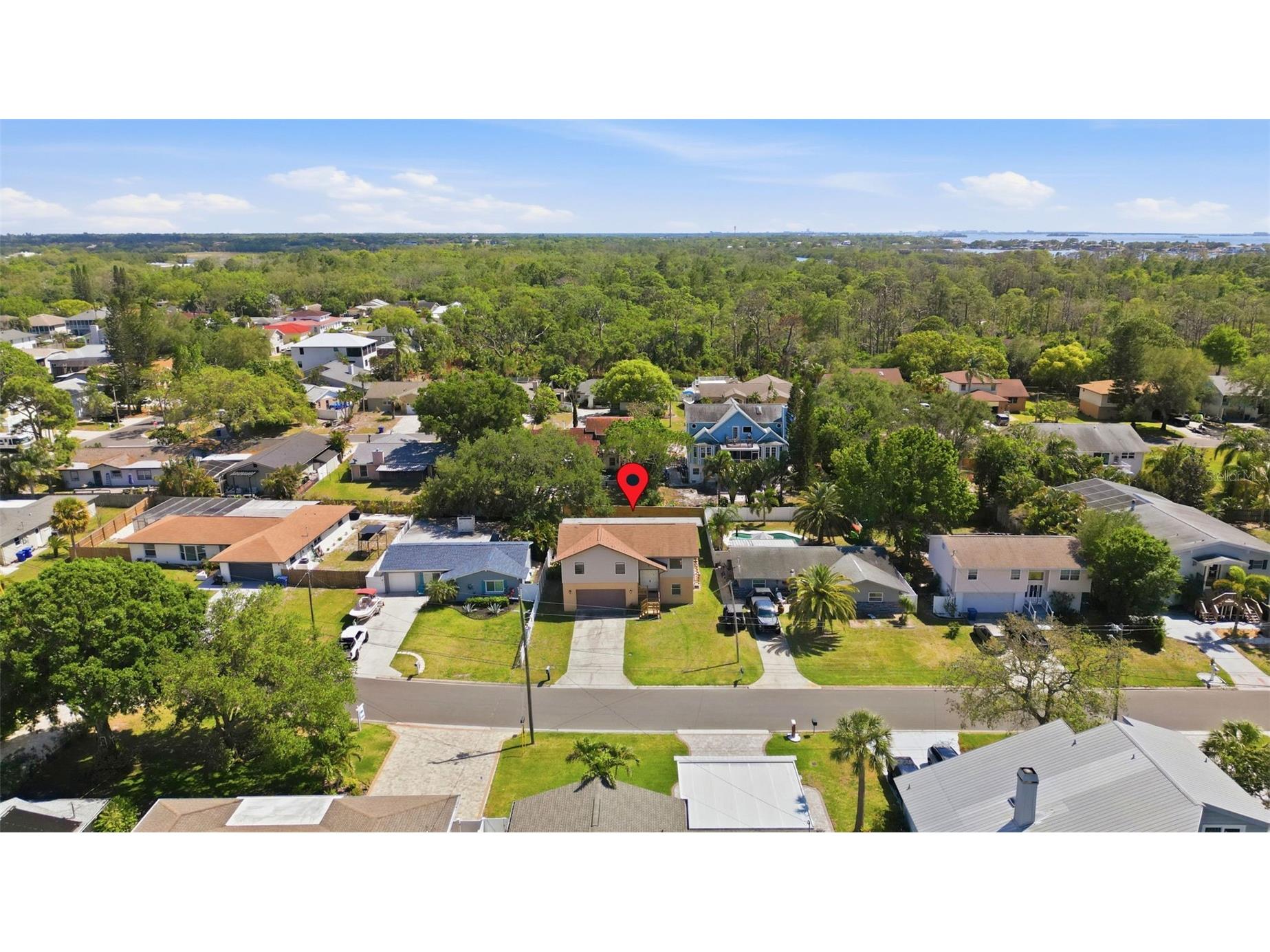 334 Crosswinds Drive Palm Harbor FL 34683 TB8497379 image36