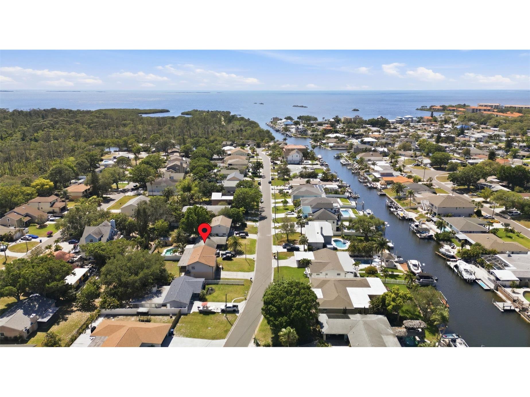 334 Crosswinds Drive Palm Harbor FL 34683 TB8497379 image38