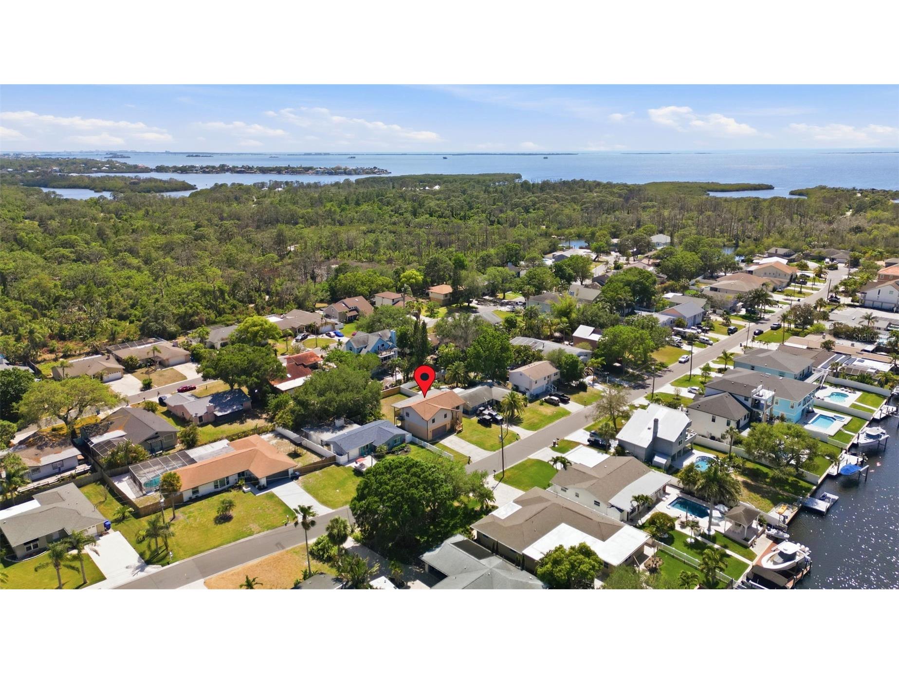 334 Crosswinds Drive Palm Harbor FL 34683 TB8497379 image5