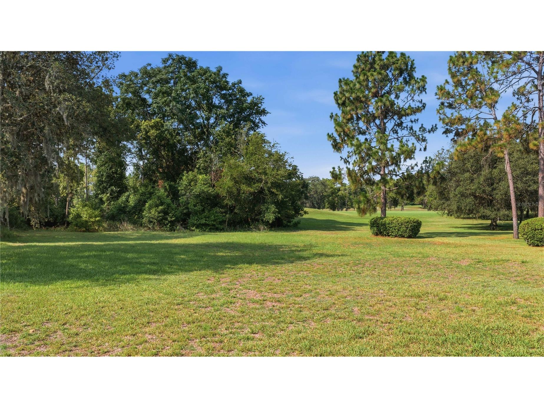 334 Lake Drive Ocala FL 34472 OM727608 image33